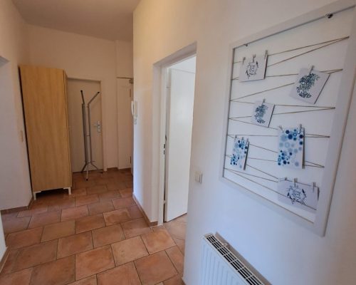 PHOTO-2025-08-26-13-39-02-6-1024x1024